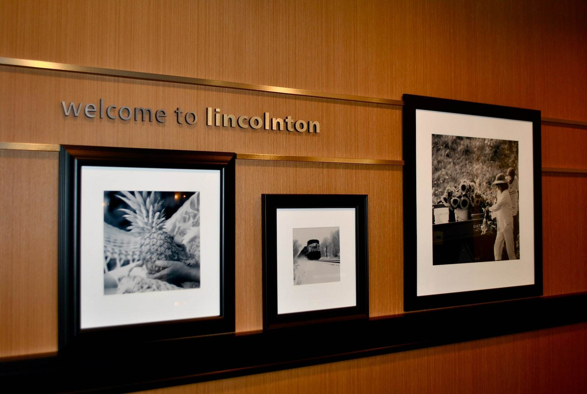 Hampton Inn Lincolnton Exterior foto